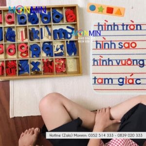 Chữ di động Tiếng Việt - Nét in thường - Học ghép chữ thành câu - Giáo cụ Montessori - Monmin