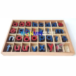 Chữ di động Tiếng Việt - Nét in thường - Học ghép chữ thành câu - Giáo cụ Montessori - Monmin
